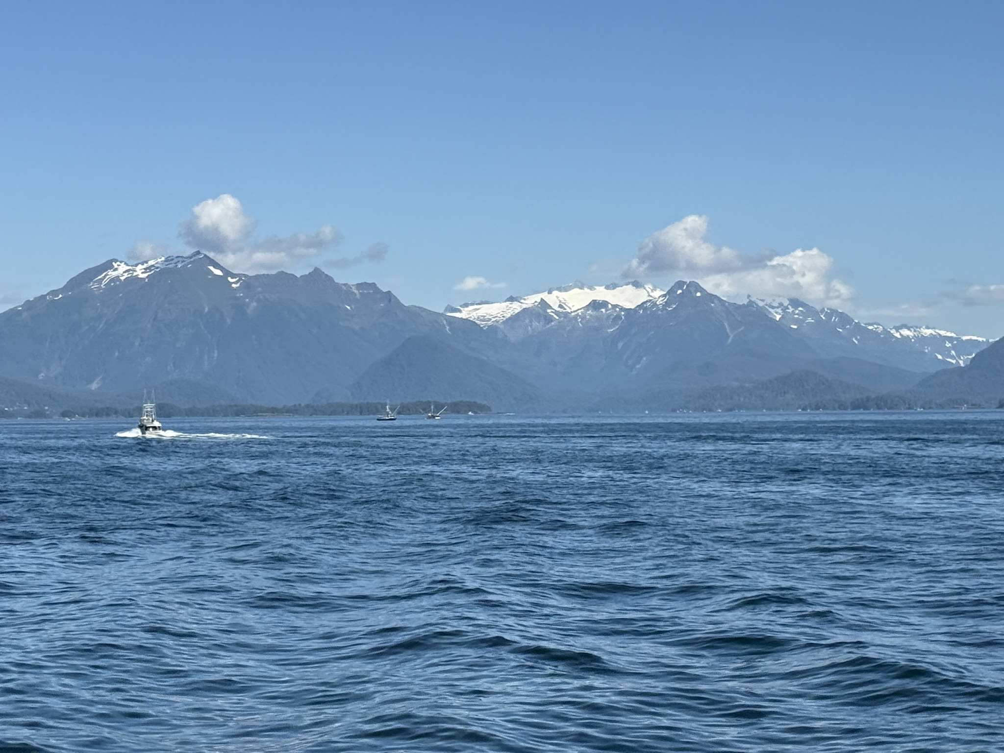 Alaska CruiseAugust 2025