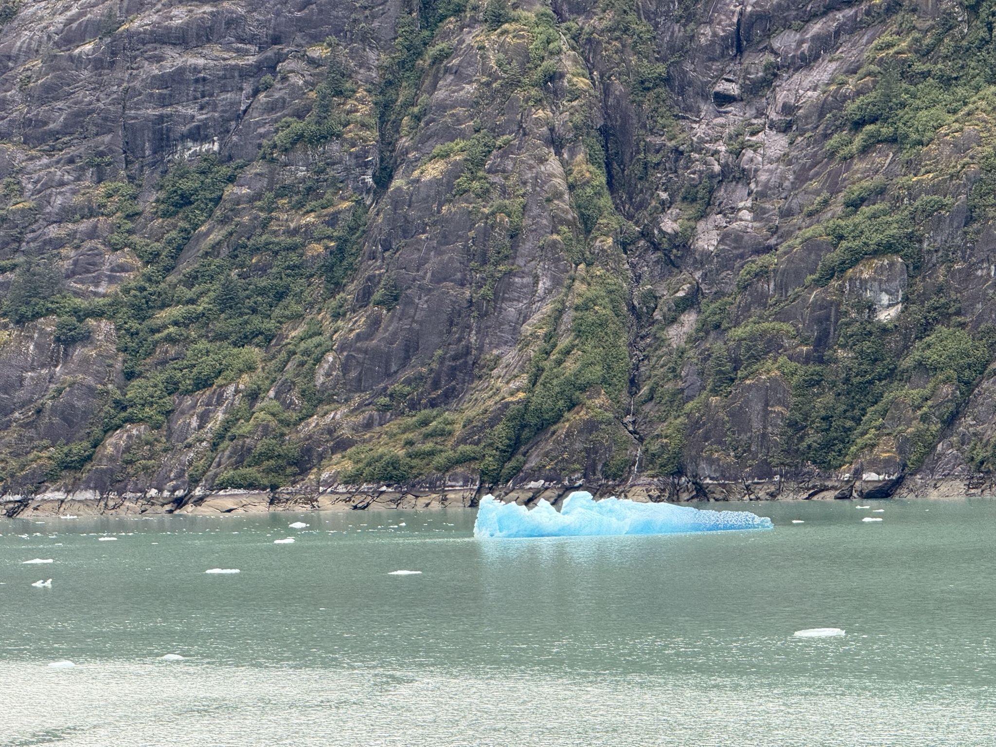 Alaska CruiseAugust 2025