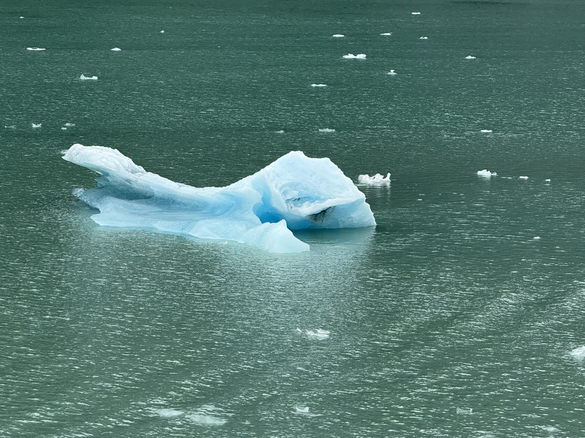 Alaska CruiseAugust 2025